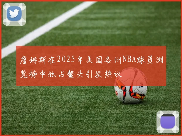 詹姆斯在2025年美国各州NBA球员浏览榜中独占鳌头引发热议